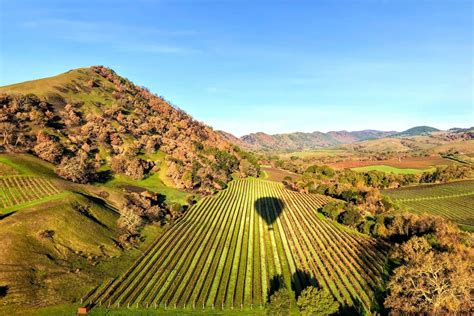 The 6 Best Napa Valley Wine Tours