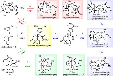 Biomimetic Synthesis Of Pallavicinin Neopallavicinin Pallambins Ad