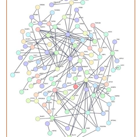 Significantly Upregulated Gene Network Diagram At 12 H Depicting The