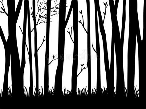 Black Branch Tree Or Naked Trees Silhouettes Set Hand Drawn Isolated Illustrations Stock