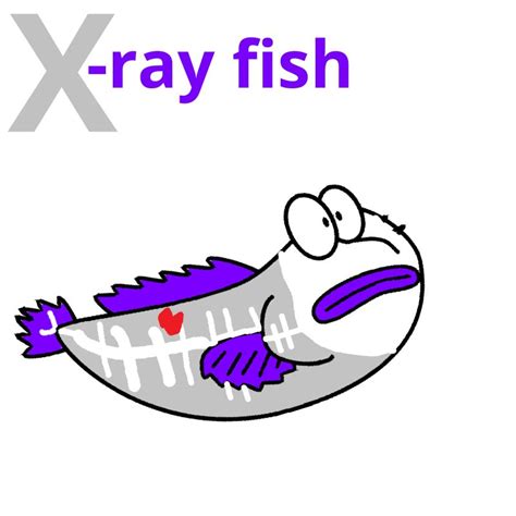 X-ray fish by mariammajeed3404 on DeviantArt