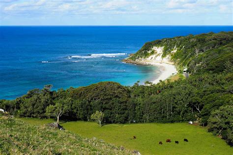 The ecological revival of Australia's Lord Howe Island | Adventure.com