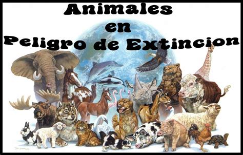 fotos de los animales en peligro de extincion