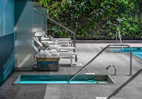 A Look at Some New York City Residences Embracing the Cold Plunge Pool