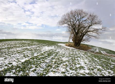 small  world stock photo alamy