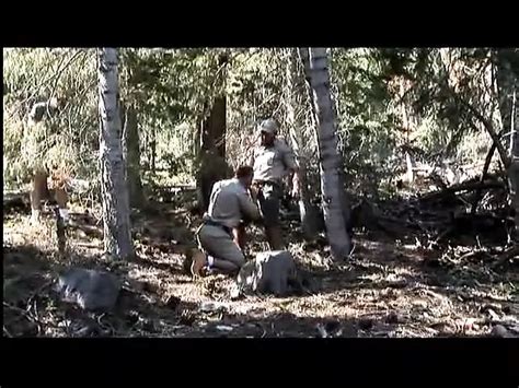 Gay Bear Porn Videos Hairy Gay Guy Movies Xhamster