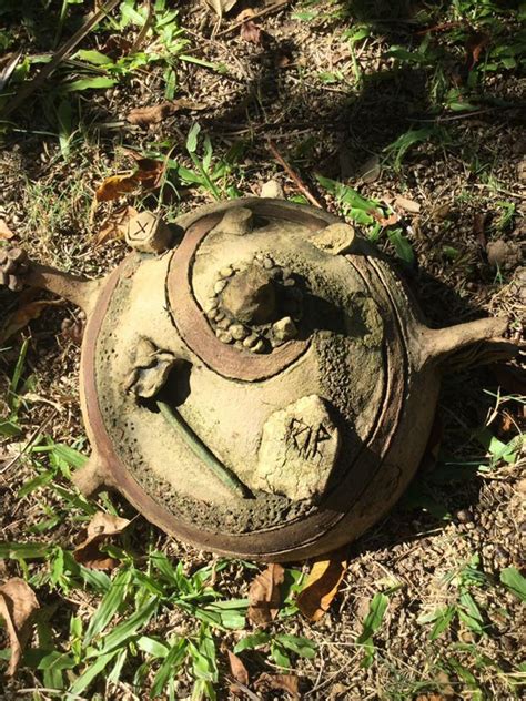 Woman Worried After Digging Up Strange Artifact In Yard Of New Home