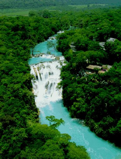 Conoce Las Cascadas De Micos Cascadas Viajes Viajes En Mexico | Hot Sex ...