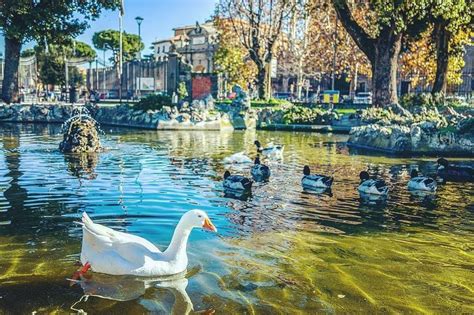 Pratogiardino Il Parco Di Viterbo Si Racconta RaccontiAmo Viterbo