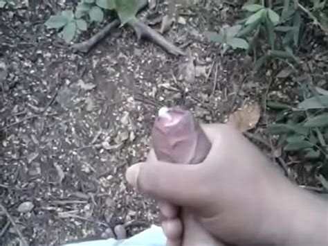 Punheta No Mato XVIDEOS