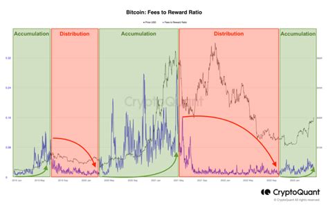 April 2024 Bitcoin Halving Lexi Cecilia