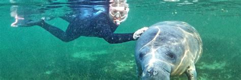 Three Sisters Springs – Crystal River, Florida