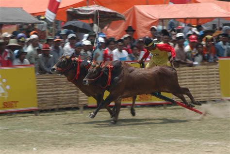 Madura Kompaspedia