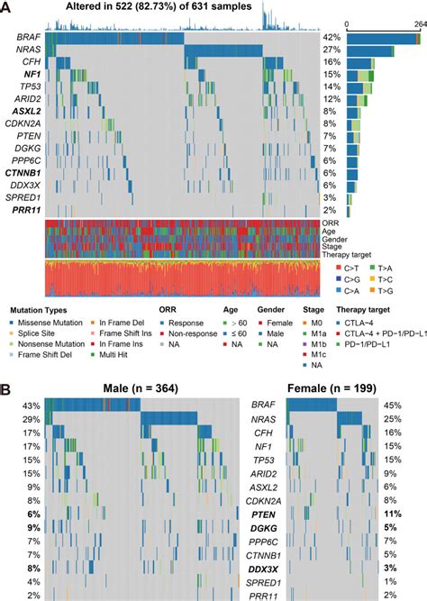 Sex Disparities Of Genomic Determinants In Response To Immune