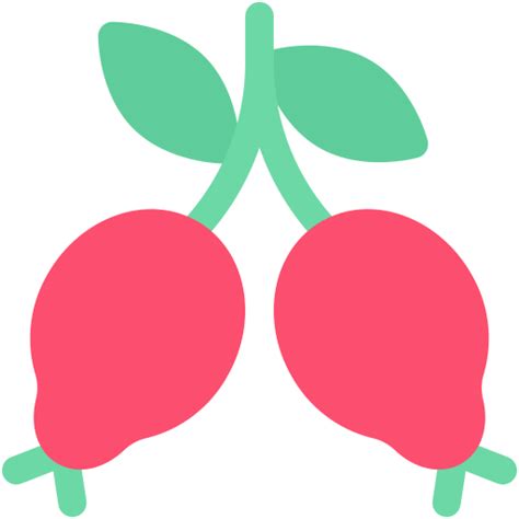 Rosehip Generic Color Fill Icon