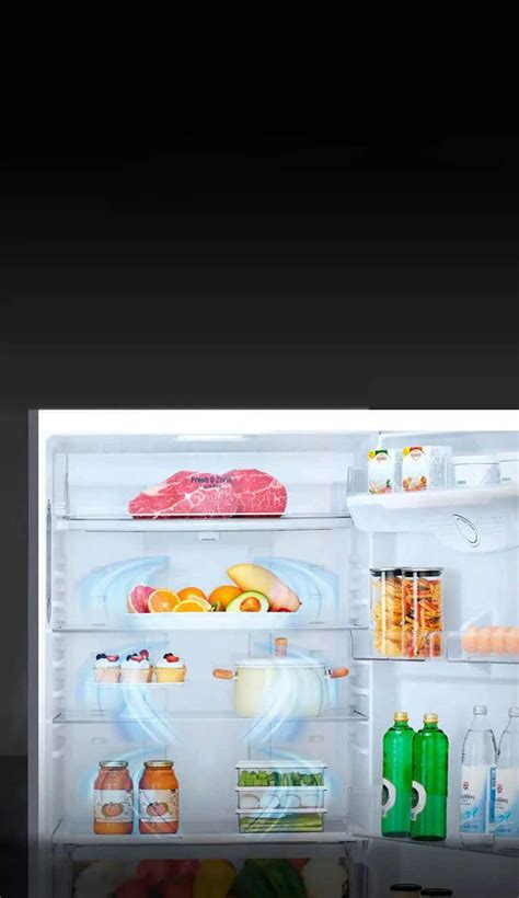 Холодильник LG GC-B509SMSM с технологией DoorCooling | LG RU