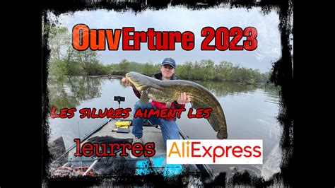 Ouverture 2023 les silures s invitent à la fête ils apprécient les