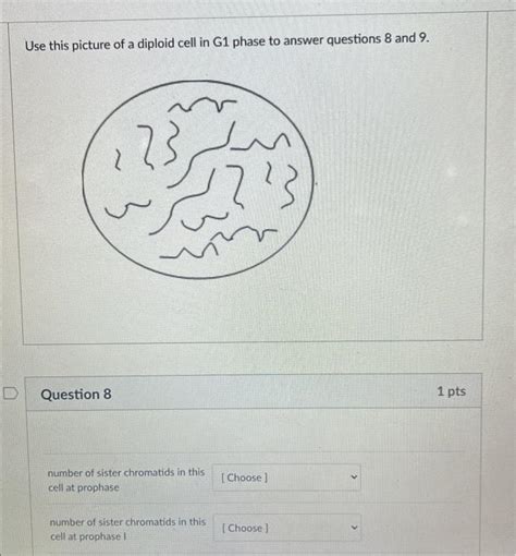Solved Sex Chromosome Trisomy Chromosomal Deletion Chegg