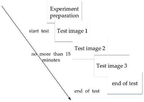 Hazard perception test flow chart. | Download Scientific Diagram