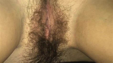 Sweet Hairy Pussy Free Nice Hairy Pussy Hd Porn Video F Xhamster