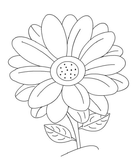 Gerber Daisy Coloring Pages At Free Printable