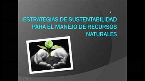 Estrategias De Sustentabilidad Para El Manejo De Recursos Naturales