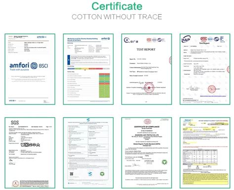 Shop Our Europe And America Sexy Flower Embroidery Lingerie