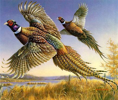 Коллекция картинок: James Meger