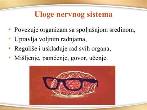 Nervni Sistem čoveka