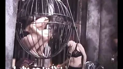 Free Interracial Lesbian Domination Porn Videos XHamster