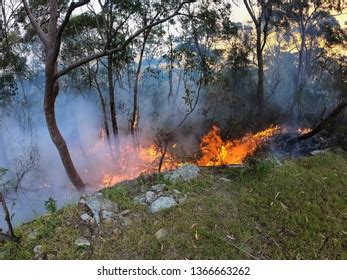 organised fire service  burning prevent stock photo