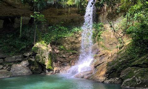 10 of the Most Beautiful Waterfalls in Puerto Rico - AZ Animals