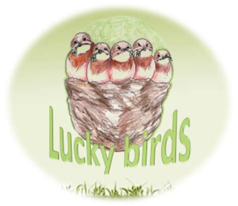 Lucky Birds timeline | Timetoast timelines