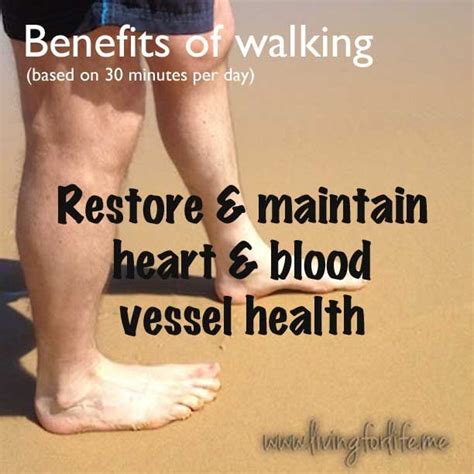 Walk for heart health | Health and wellbeing, Health, Health and wellness