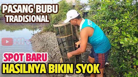 ANGKAT BUBU NAGA DI TAMBAK UDANG TRADISIONAL PERANGKAP UDANG PART 7