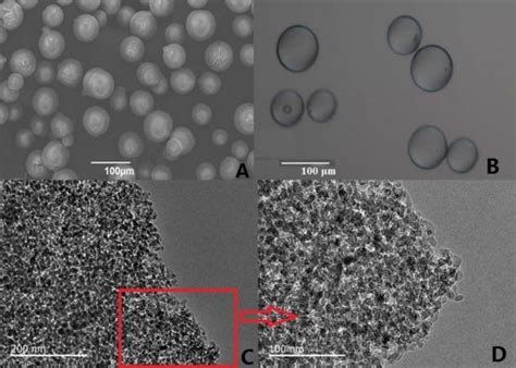 SEM A OM B And TEM C D Graphs Of Mesoporous Silica