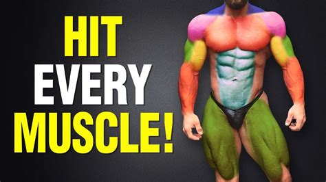 The Only Exercises You Need To Hit Every Muscle In Your Body Youtube