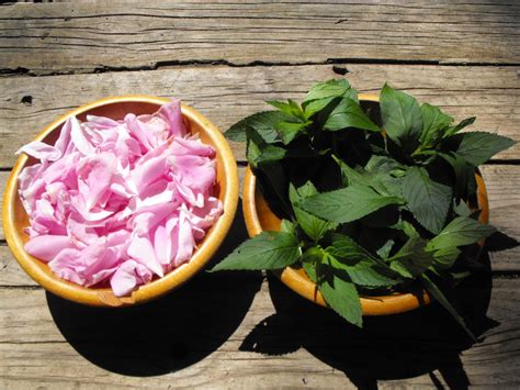 Twig and Toadstool: Picnic At The Beach...Ideas and Inspiration!!!
