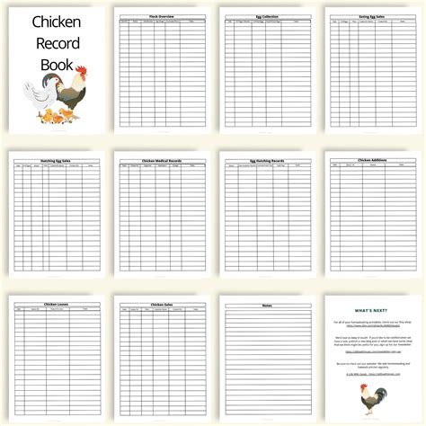 Minimal Ink Printable Chicken Records Book | Instant Download | 8.5x11