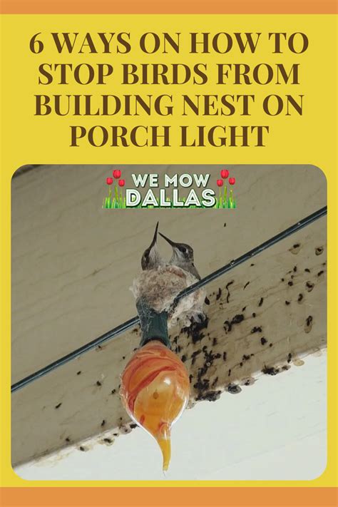 How to get rid of flying bugs in your yard 9 effective ways – Artofit