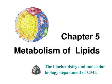 Ppt Chapter Metabolism Of Lipids Powerpoint Presentation Free