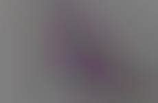 Fully Edible Food Packaging : edible food packaging