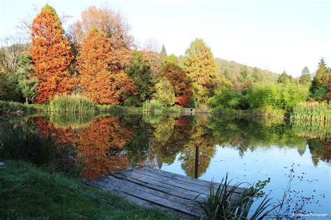 Parcul Dendrologic Din Gurahonţ Arad