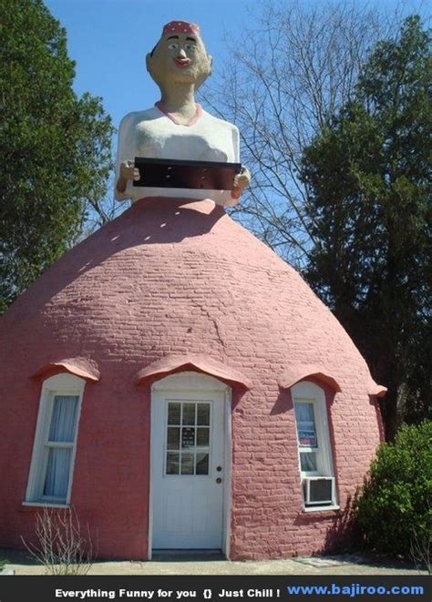 Funny Looking Houses