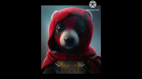 detbul  lucu merah youtube