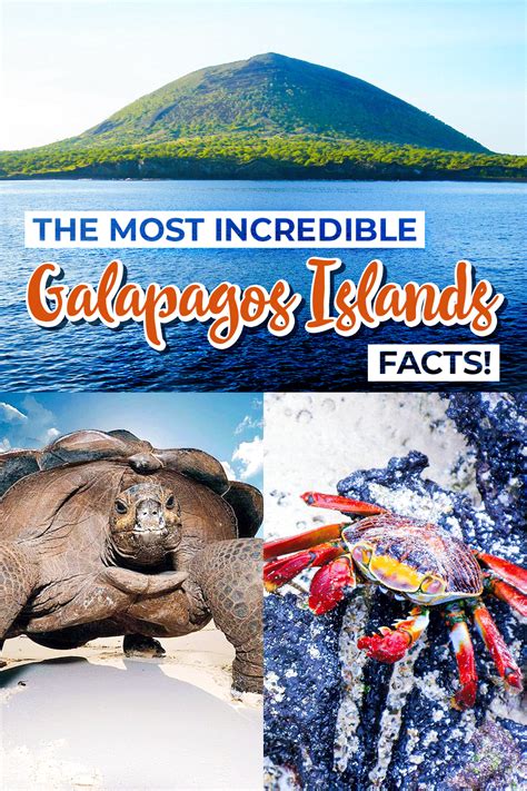 Incredible Galapagos Islands Facts You Never Knew Artofit