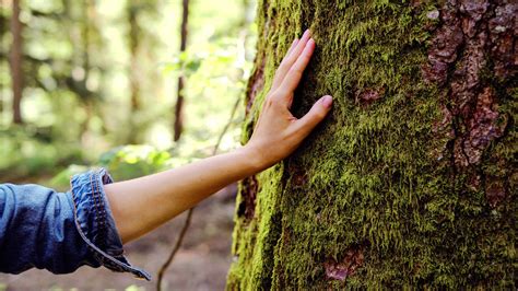 Las Formas M S Sencillas De Conectar Con La Naturaleza