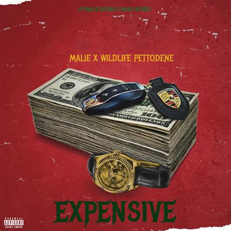 EXPENSIVE Feat PETTODENE WILDLIFE YouTube Music