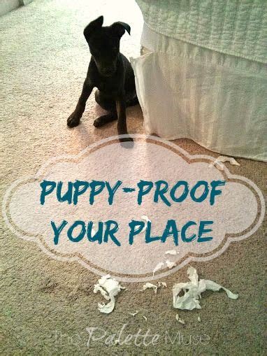 How To Puppy Proof Your Home Puppy Proofing Dog Training Books Puppies