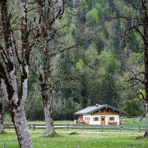 White Chocolate Mojito Naked Cake BÄM Und mein Backworkshop mit der Konditorweltmeisterin